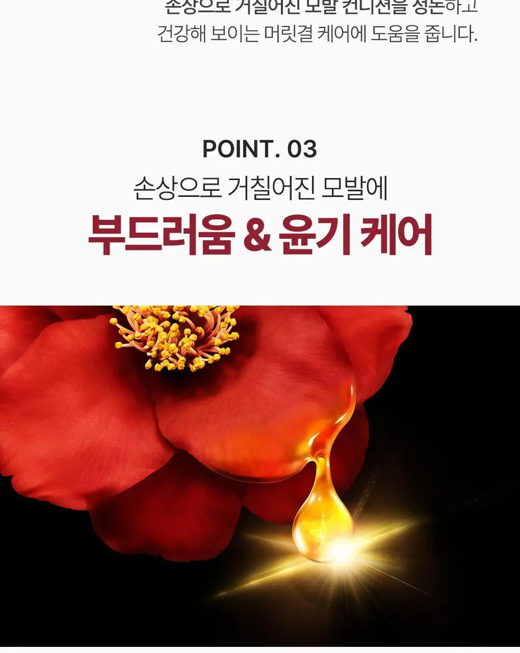[수분&윤기케어] 츠바키 프리미엄 모이스트 & 리페어 트리트먼트 160g 상세페이지 14